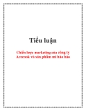 Tiểu luận: Chiến lược marketing của công ty Acecook và sản phẩm mì hảo hảo