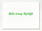 Biến trong MySQL