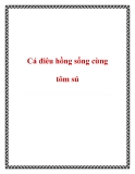 Cách nuôi cá điêu hồng sống cùng tôm sú