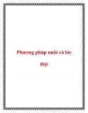 Phương pháp nuôi cá lóc thịt