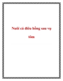 Nuôi cá điêu hồng sau vụ tôm