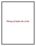 Phòng trị bệnh cho cá lóc