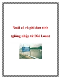 Nuôi cá rô phi đơn tính (giống nhập từ Đài Loan)