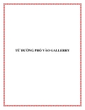 TỪ ĐƯỜNG PHỐ VÀO GALLERRY