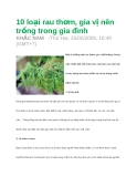 10 loại rau thơm, gia vị nên trồng trong gia đình