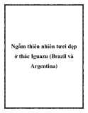 Ngắm thiên nhiên tươi đẹp ở thác Iguazu (Brazil và Argentina)