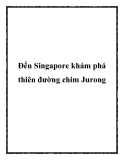 Đến Singapore khám phá thiên đường chim Jurong