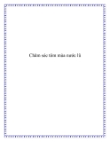 Chăm sóc tôm mùa nước lũ