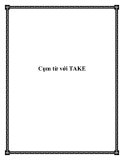 Cụm từ với TAKE