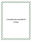 Cách phối màu trong thiết kế Catalog.