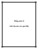 Tiếng anh về trái cây,rau ,củ, quả đây