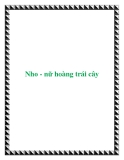 Nho - nữ hoàng trái cây