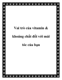 Vai trò của vitamin & khoáng chất đối với mái tóc của bạn