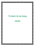 Vị thuốc từ cây húng chanh