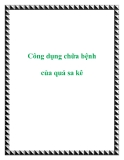 Công dụng chữa bệnh của quả sa kê