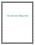 Cây núc nác chống viêm