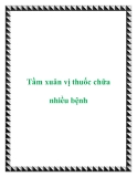 Tầm xuân vị thuốc chữa nhiều bệnh