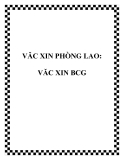 VĂC XIN PHÒNG LAO: VĂC XIN BCG