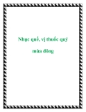 Nhục quế, vị thuốc quý mùa đông