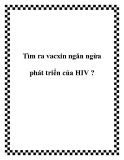 Tìm ra vacxin ngǎn ngừa phát triển của HIV ?