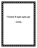 Vitamin B ngăn ngừa gãy xương