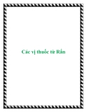 Các vị thuốc từ Rắn