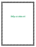 Diếp cá chữa trĩ