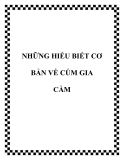 NHỮNG HIỂU BIẾT CƠ BẢN VỀ CÚM GIA CẦM