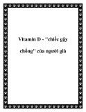 Vitamin D - ''chiếc gậy chống'' của người già