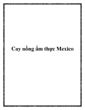 Cay nồng ẩm thực Mexico