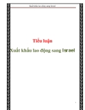 Tiểu luận:  Xuất khẩu lao động sang Israel