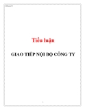  Tiểu luận: GIAO TIẾP NỘI BỘ CÔNG TY