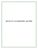 QUẢN LÝ VÀ CHĂM SÓC AO TÔM