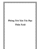 Phòng Trừ Xén Tóc Đục Thân Xoài