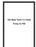 Mô Hình Nuôi Cá Chình Trong Ao Đất