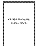 Các Bệnh Thường Gặp Và Cách Điều Trị