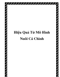 Hiệu Quả Từ Mô Hình Nuôi Cá Chình