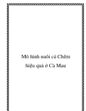 Mô hình nuôi cá Chẽm hiệu quả ở Cà Mau