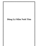 Dùng Lá Mắm Nuôi Tôm