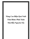 Nâng Cao Hiệu Quả Nuôi Tôm Hùm: Phải Tuân Thủ Bốn Nguyên Tắc