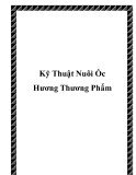 Kỹ Thuật Nuôi Ốc Hương Thương Phẩm