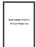 Kinh Nghiệm Nuôi Cá Tra Lợi Nhuận Cao