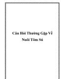 Câu Hỏi Thường Gặp Về Nuôi Tôm Sú