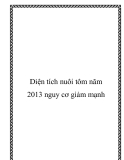 Diện tích nuôi tôm năm 2013 nguy cơ giảm mạnh