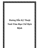 Hướng Dẫn  Nuôi Tôm Hạn Chế Dịch Bệnh