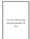 Cơ sở sản xuất tôm giống chất lượng hàng đầu Việt Nam