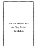 Tìm hiểu mô hình nuôi tôm Càng Xanh ở Bangladesh