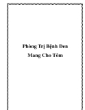 Phòng Trị Bệnh Đen Mang Cho Tôm