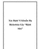 Xác Định Vi Khuẩn Họ Rickettsia Gây “Bệnh Sữa”