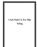 Cách Nuôi Cá Tra Thịt Trắng